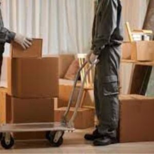 Packers and Movers In Chandigarh