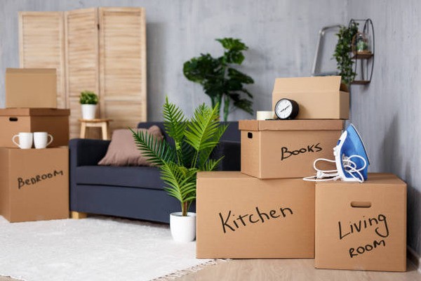 How Packers and Movers in Mohali Can Save Your Moving Day