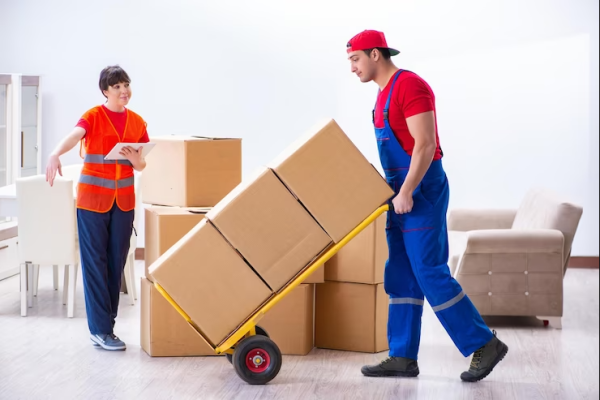Best Moving Services In Panchkula